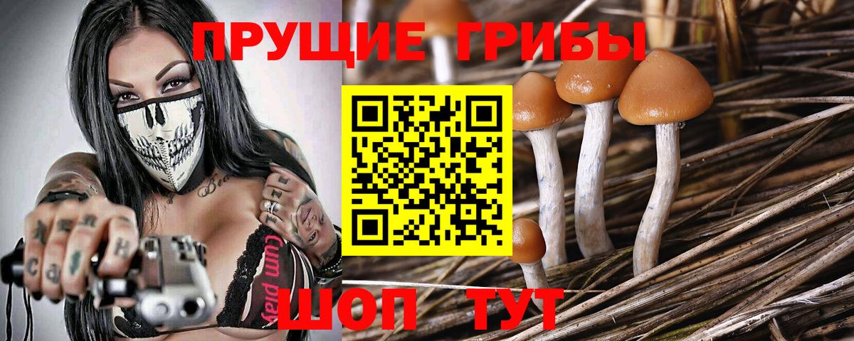 Псилоцибиновые грибы мухоморы Усть-Джегута